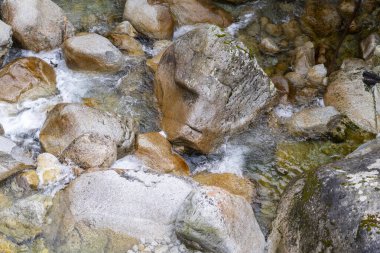 Kristal Temiz Dağ Akıntısı