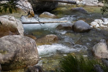 Kristal Temiz Dağ Akıntısı