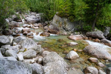 kayaların üzerinden akan dağ dere