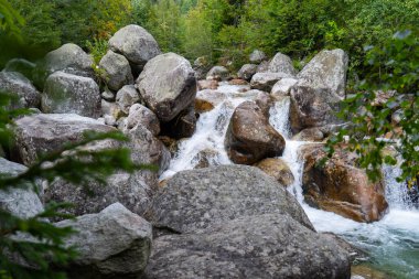 Kristal Temiz Dağ Akıntısı