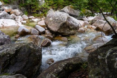 Kristal Temiz Dağ Akıntısı