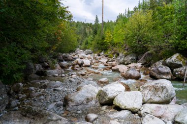 Kristal Temiz Dağ Akıntısı