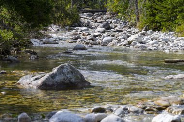 Kristal Temiz Dağ Akıntısı