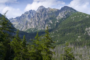 Muhteşem Rocky Dağı Zirvesi