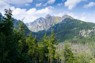 Muhteşem Rocky Dağı Zirvesi