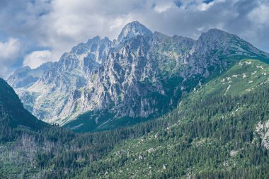 Muhteşem Rocky Dağı Zirvesi