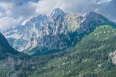 Muhteşem Rocky Dağı Zirvesi