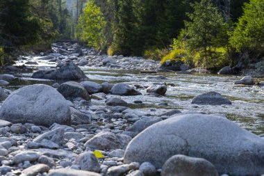kayaların üzerinden akan dağ dere