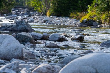 kayaların üzerinden akan dağ dere