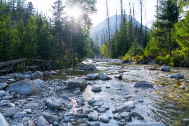 kayaların üzerinden akan dağ dere