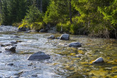 kayaların üzerinden akan dağ dere