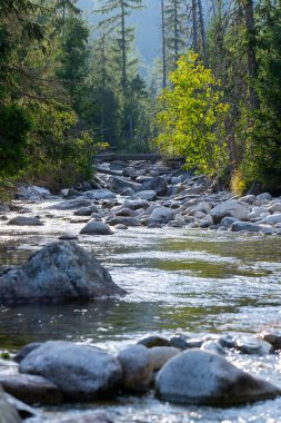 kayaların üzerinden akan dağ dere