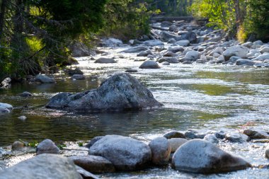 kayaların üzerinden akan dağ dere