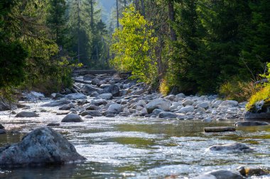 kayaların üzerinden akan dağ dere