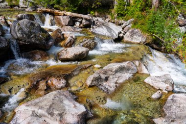 kayaların üzerinden akan dağ dere
