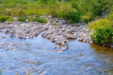 Berrak dağ nehri kayalık bir nehir boyunca yavaşça akıyor. Yumuşak taşlar, yeşil bitkiler ve parlak yaz güneşinde vahşi bitki örtüsü..