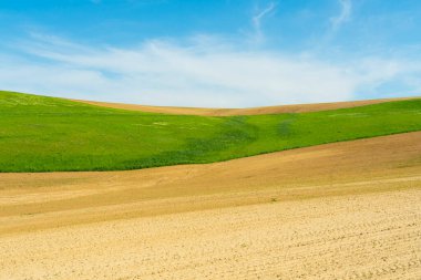 Yeşil çayır ve temiz bir gökyüzünün altında ekilmiş tarım arazisi olan yuvarlanan kırsal alan. Nazik tepeleri ve tarım arazileri olan doğal kırsal manzara..