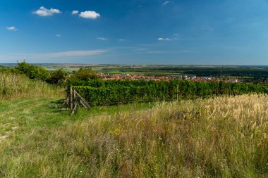 Üzüm bağları, yabani otlar ve açık mavi gökyüzünün altındaki köy çatıları ile panoramik kırsal manzara.