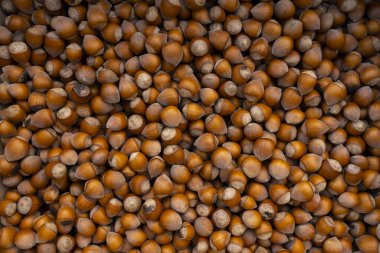 Kabuklu fındıkların üst görüntüsü sıcak kahverengi desenli doğal besin arkaplanı oluşturuyor..