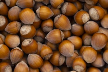 Tüm fındıkları kabuklarla kapatarak sıcak kahverengi tonlar ve organik dokularla doğal bir zemin oluşturuyorlar..