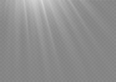 Parlak güneş ışığı, ışık efekti, beyaz güneş ışınları..