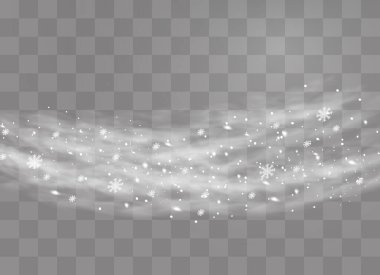  Beyaz kar yağışı sisli.