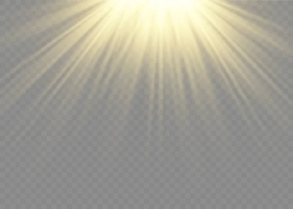 Lente de luz solar flash efeito de luz, raio de sol. — Vetor de Stock