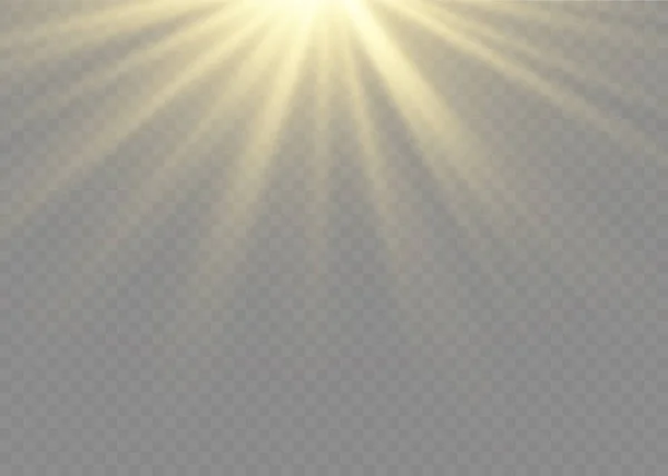 Lente de luz solar efecto de luz flash, rayo de sol. — Archivo Imágenes Vectoriales