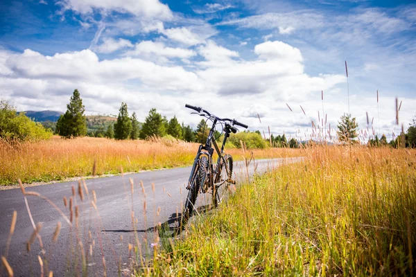 Bicicleta de montaña en la carretera en medio del campo de hierba amarilla en Colorado colorido — Foto de Stock