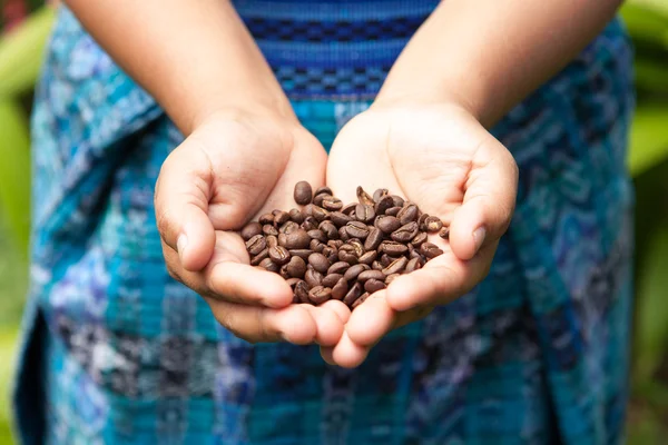 Handful of fresh organic coffee beans. Food and drink coffee background.