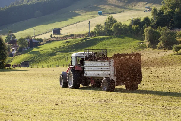 Scène agricole de l'épandage du fumier — Photo