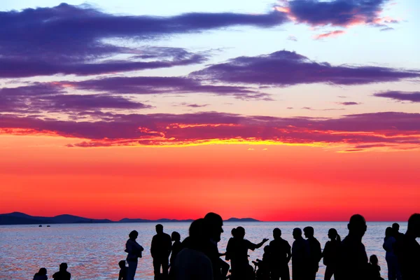 Güneş selamı kutlama