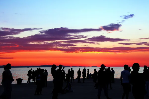 Güneş selamı kutlama