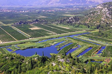 Ekili arazi deltasında Hırvatistan Neretva Nehri üzerinde.