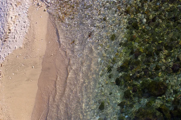 Yeşil algler deniz alt kapsayan