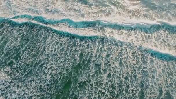 Ocean Beach desde la parte superior aérea — Vídeos de Stock