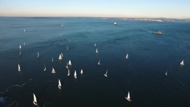Jachten op luchtfoto van het water van bovenaf — Stockvideo