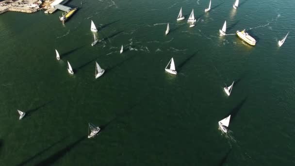 Yates en el agua alrededor de la vista aérea del muelle — Vídeo de stock