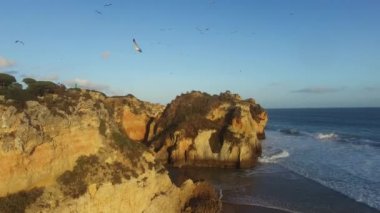 Martılar günbatımı Algarve, Rotrugal okyanusa bir kayaya üzerinde sürüsü