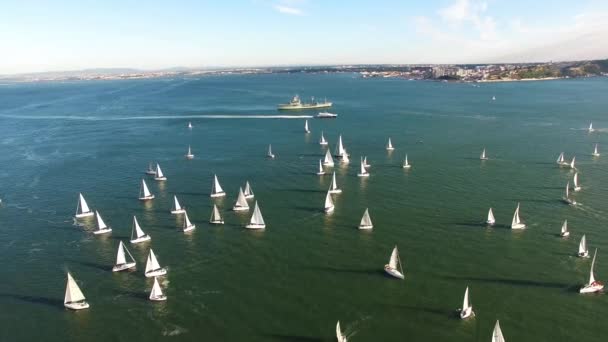 Jachten in de Regatta rivierzicht van bovenaf — Stockvideo