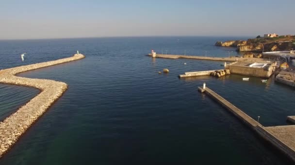 Gaviotas sobre puerto y fuerte de Lagos, Algarve, Portugal vista aérea — Vídeo de stock