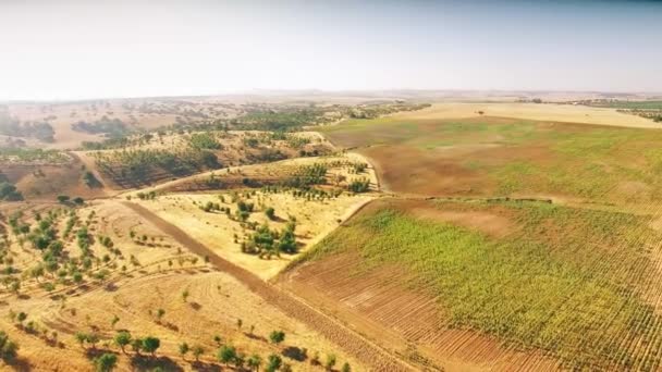 Πετώντας πάνω από μια εναέρια άποψη γεωργικό τομέα — Αρχείο Βίντεο