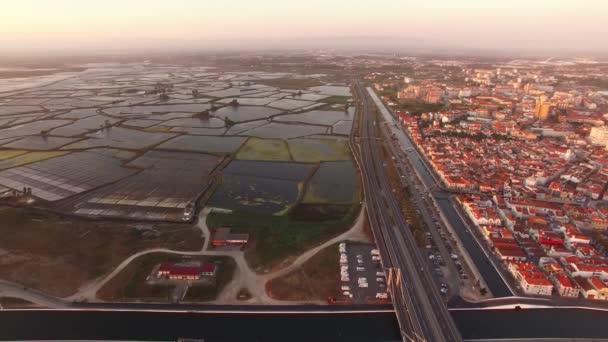 Historical salt pans in Aveiro, Portugal aerial view — Stock Video