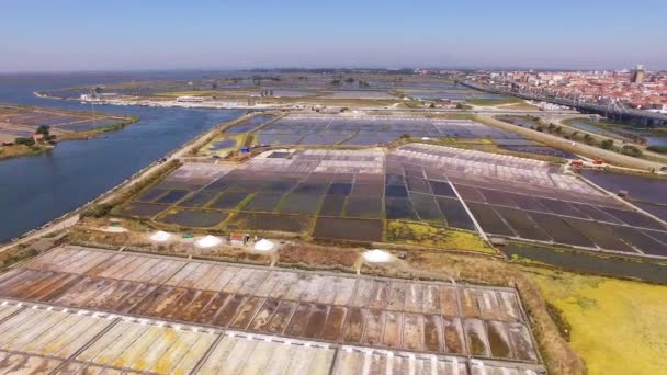 Історичні сіль каструлі в Авейру, Португалія пташиного польоту — стокове відео