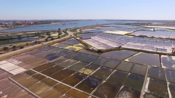 Historische zoutpannen in Aveiro, Portugal-luchtfoto — Stockvideo