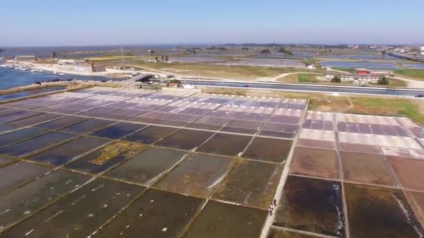 Historische zoutpannen in Aveiro, Portugal-luchtfoto — Stockvideo