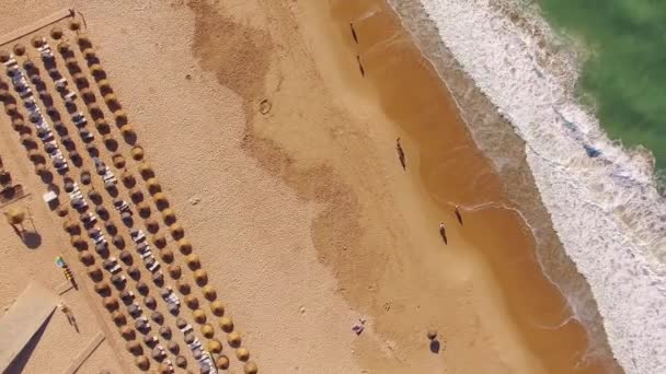 Sombrillas en la playa desde la vista aérea superior — Vídeos de Stock
