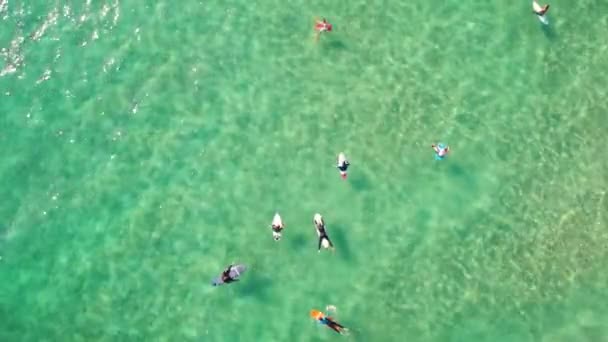 Surfers are resting on the water aerial view — Stock Video