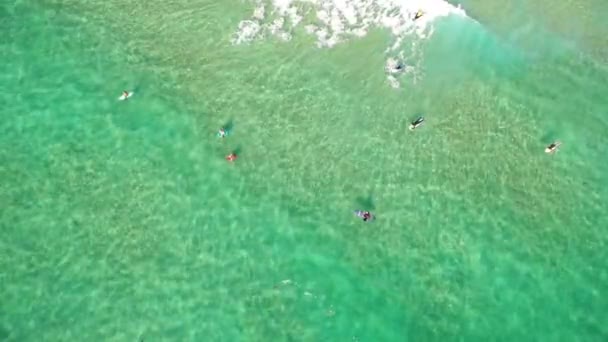 Surfers are resting on the water aerial view — Stock Video