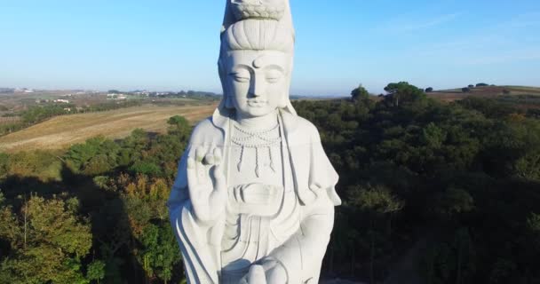 Estátua de Buda vídeo aéreo — Vídeo de Stock